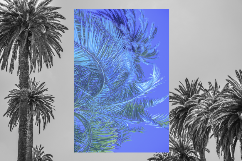 Happy and palms