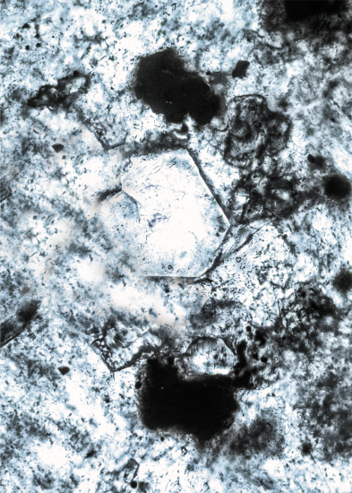 Mineral _ Art Brut