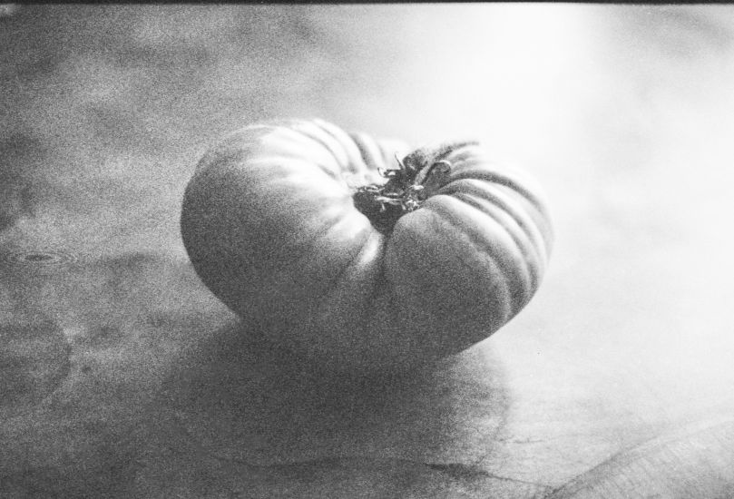 Big Rainbow tomato